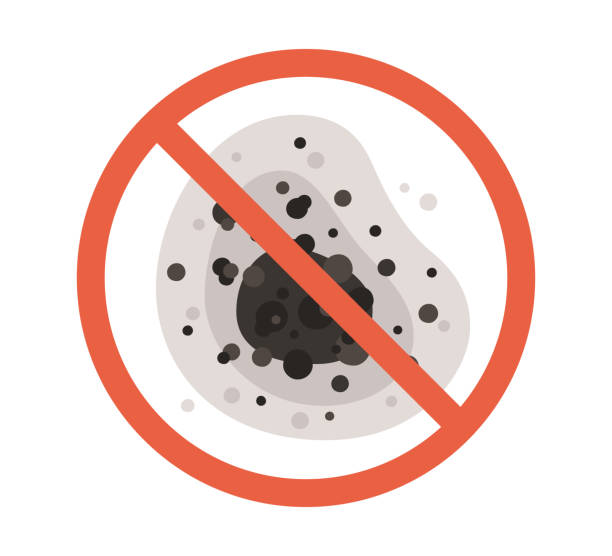 Mold Removal for HVAC Installations in El Monte, CA