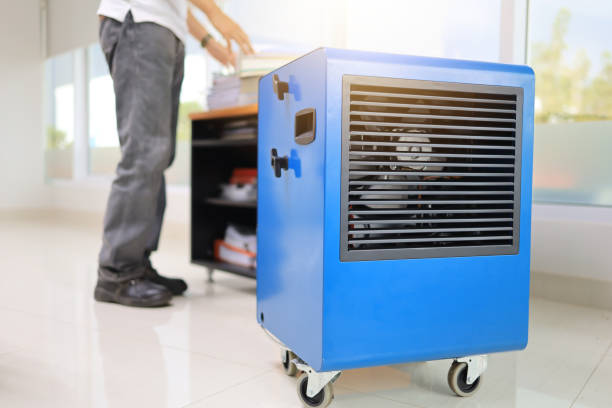 Best Airborne Mold Testing  in El Monte, CA