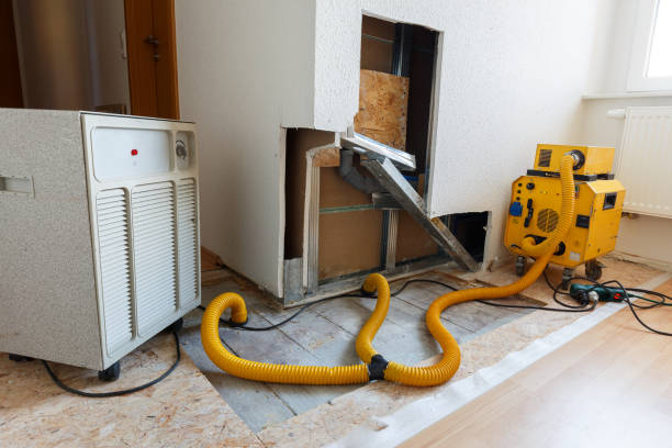 Best Mold Removal for HVAC Installations  in El Monte, CA