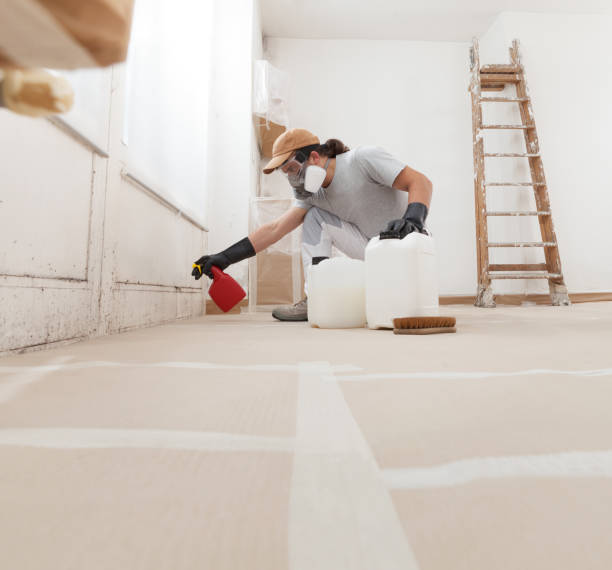 Best Indoor Air Quality Assessment  in El Monte, CA